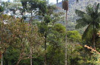 Chalé Gaia - Hospedagem Itatiaia - Photo 32