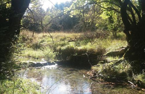Wood Cabins by the River - for Nature Lovers - Photo 56