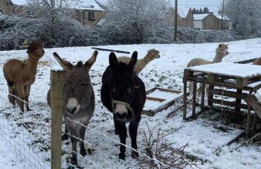 Mulberry House Farm The Garden Room - Foto 22