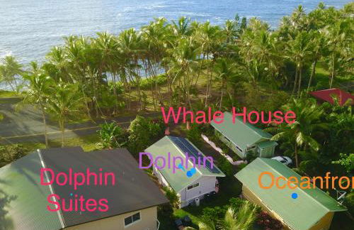 Whale House at Kehena Beach - Foto 2