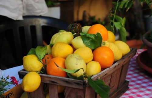 Agriturismo del Pigato - Bio Vio - Foto 68