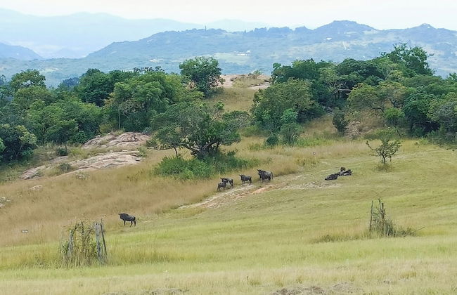 AtNature Luxury Self Catering Cottages - Photo 64