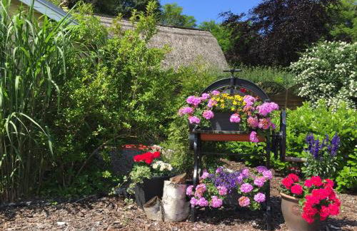 Appartementanlage Zur Seemöwe - Foto 9