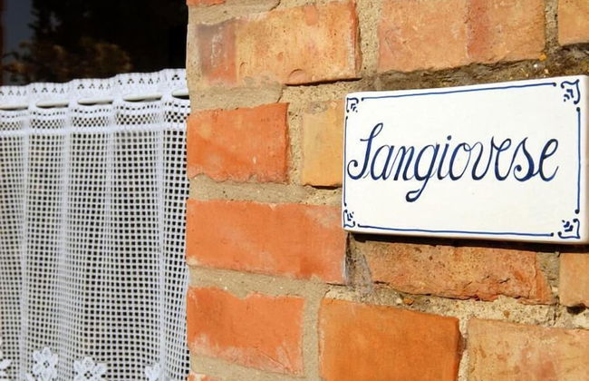 Tenuta S. Agnese - Photo 55