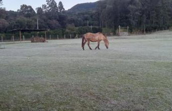 Quinta da Boa Vista São Chico - Foto 37