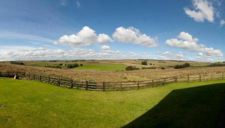 Roman Height's Holiday Cottages - Foto 2, Garden