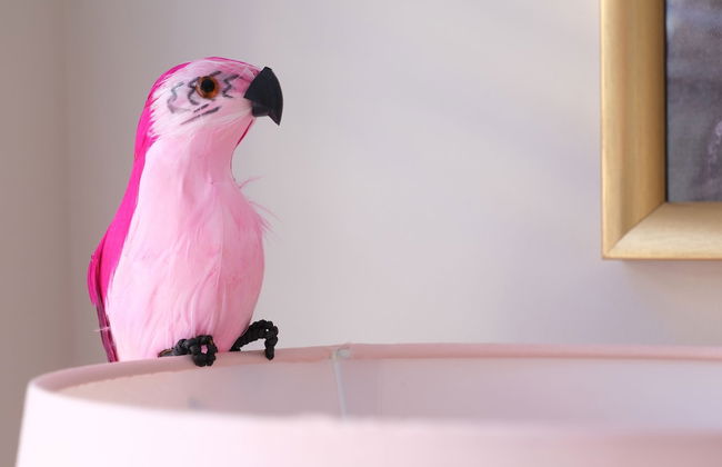 Dream Stays Bath - John Street - Foto 19