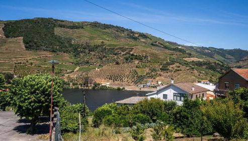 Alojamento Armando Monteiro - Foto 2