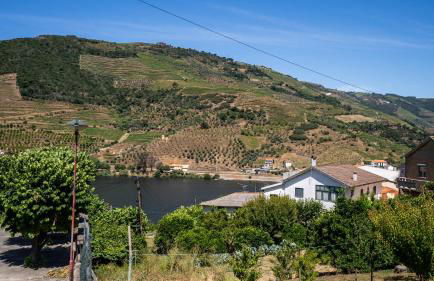 Alojamento Armando Monteiro - Foto 2