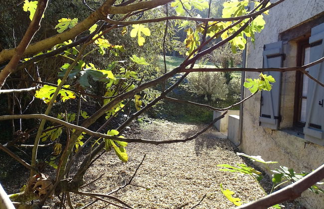 Les Gîtes de Petrocoriis - Foto 42