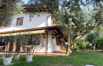 Elisa Holidays Apartments - Foto 4