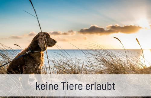 Elbe Boardinghouse - Foto 70