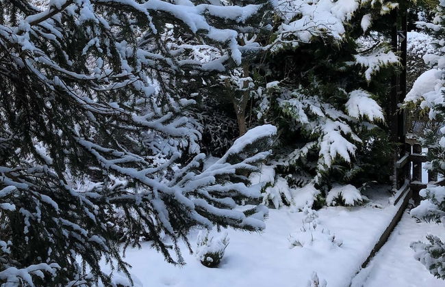 Holiday Home Near Harzgerode With Whirlpool - Foto 24