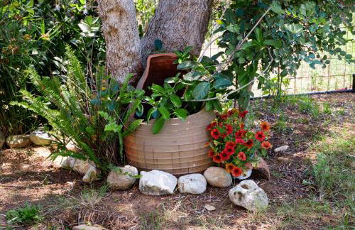 Villa Thalia Chania - Foto 31