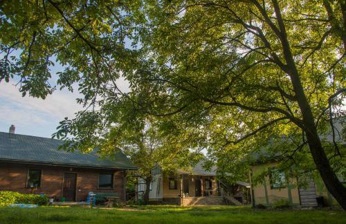 Malowane Domy - Foto 9