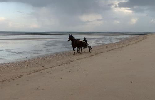 Gîtes "Plage" ou "Pieds dans l'Eau" en FRONT DE MER à Asnelles , 3km d'Arromanches, 10km de Bayeux - Foto 20