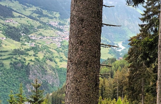 Apartment Hochgallmigg Near Ski Slopes - Photo 26