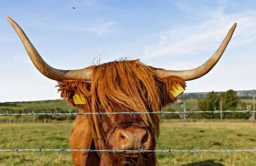 2 Bed in Sowerby Bridge oc-90887 - Foto 39