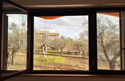 Il nido di Betta - Foto 28