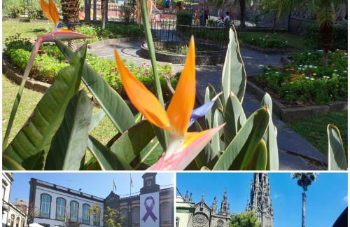 CASA ISABEL CENTRO Histórico - Foto 34