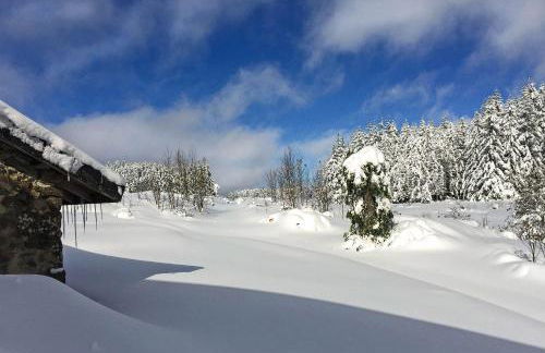 Le Carré gourmand - Foto 9
