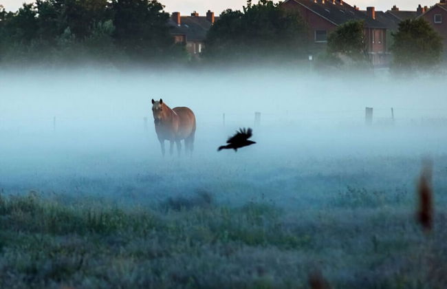 North Beach Modern Retreat - Foto 12