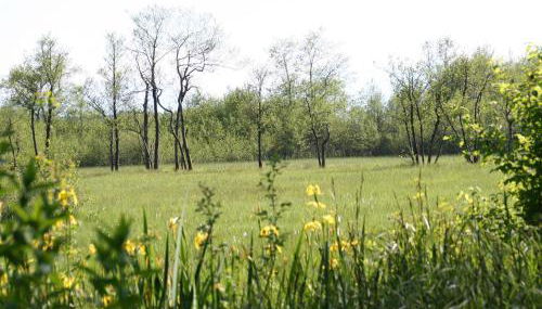 Kirmeier Hof - Foto 4