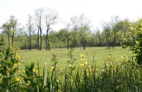 Kirmeier Hof - Foto 4