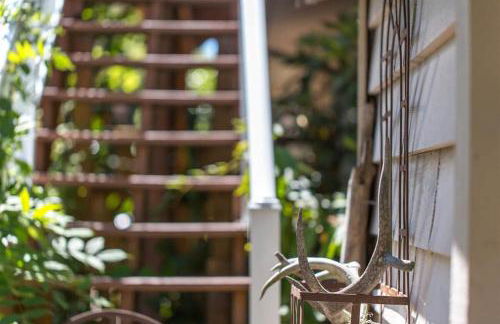 Sq Wild Rose 2 - Foto 32