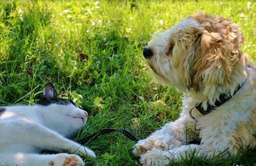 Ferienwohnung "Hinterland" - Foto 20