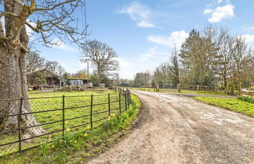 Bellflower Cottage, Ashdown Forest - Foto 63