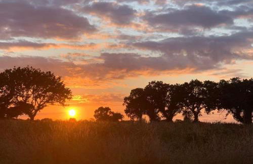 Starry Meadow & Rescued Animal Experiences - Foto 32