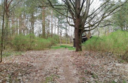 Przystań u Zosi - Foto 9