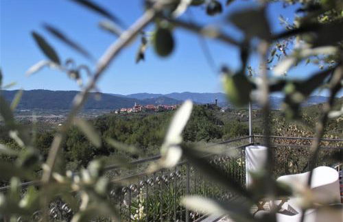 Fattoria Cristina - Fenice - Foto 32