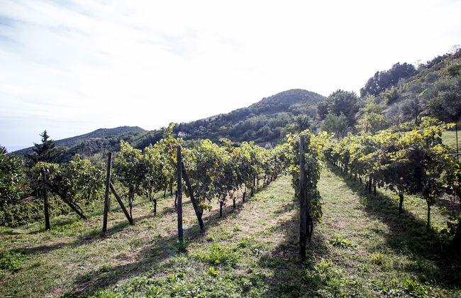 Villa Lupara - Foto 34