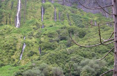 Casa do Rossio - Foto 15