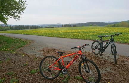Gasthaus Piesau - Thüringer Wald - Rennsteig - Foto 76