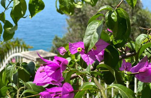 Luxury Seaside Villa with a classic Mediterranean Olive Garden, a fully equipped Professional Kitchen, Pool, Sauna, Padle Boards and Canoe - Miolin Beach House - Photo 20