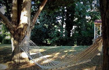 La Francigena - Foto 6