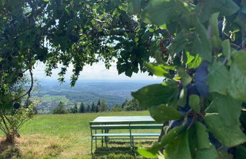 Alpenblick-Steineckhof - Foto 27