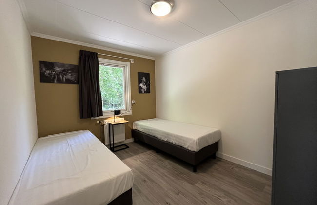 3 bedroom House in Dwingeloo with swimming pool and terrace - Photo 10