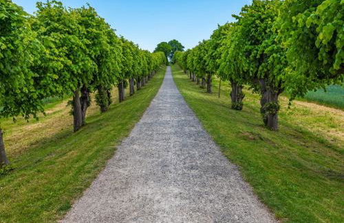 Attractive Apartment in Klütz near the Sea - Foto 36