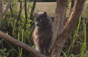 Appart'hotel Maison Saint Michel - Photo 70