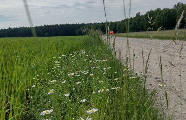 Zielone Zacisze - Foto 29