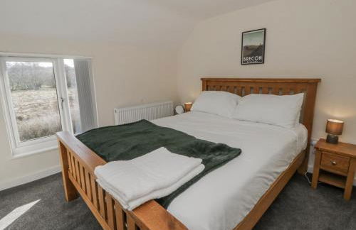 Glandwr House - Photo 15