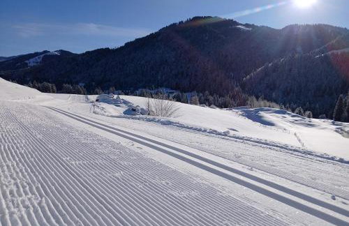 Ferienhof Steurer - Photo 35