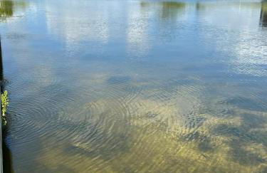 Newly built Villa Ballerina with heated pool and incredible view into beautiful Arrowheadcanal - Photo 18