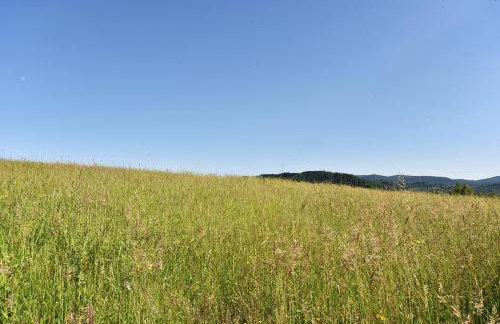Gorski brlog - Kuće za odmor - Foto 74