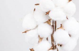 Maison 4 chambres avec jaccuzi piscine privée et sauna - Foto 58