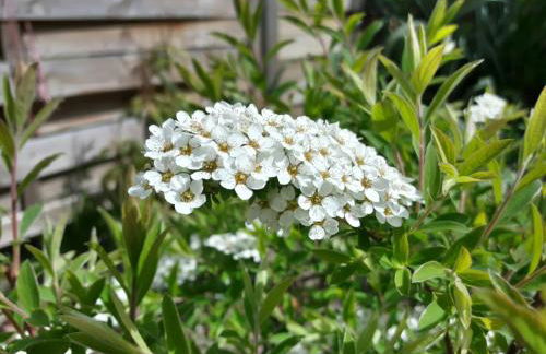 Ferienwohnungen Dirk Laurisch - Foto 4